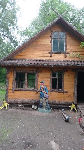 Баба-Яга в ступе — отзыв покупателя, Горно-Алтайск