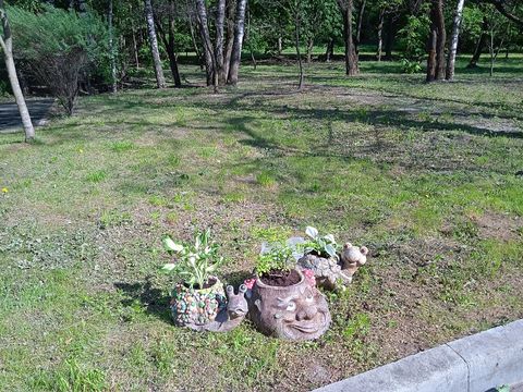 Цветник — отзыв покупателя, Москва