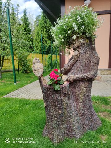 Пень с совой (цветник два кашпо) — отзыв покупателя, Звенигород